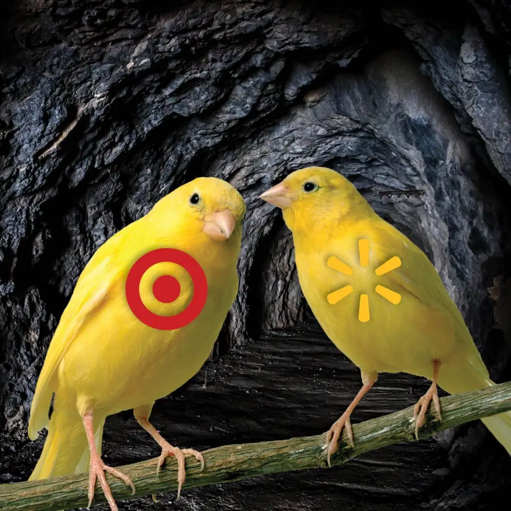 Walmart and Target: Canaries in the Coal Mine? 3 LewisR Canaries
